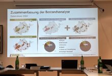 Kommunale Wärmeplanung Bergneustadt.